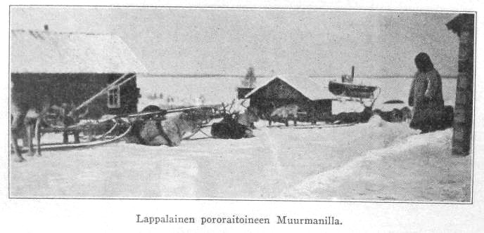 [Lappalainen pororaitoineen Muurmannilla]